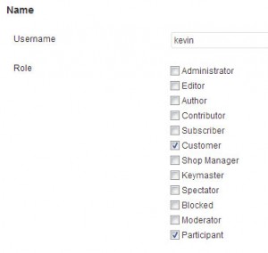 Multiple User Roles